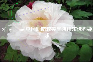 广元中国消防救援学院山东选科要求