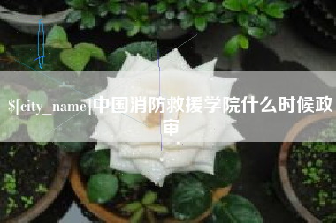 广元中国消防救援学院什么时候政审