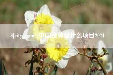 广元中国金牌是什么项目2024