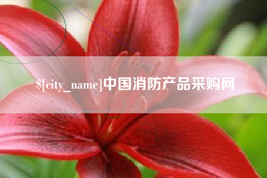 广元中国消防产品采购网