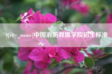 广元中国消防救援学院招生标准