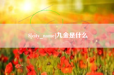 广元九金是什么