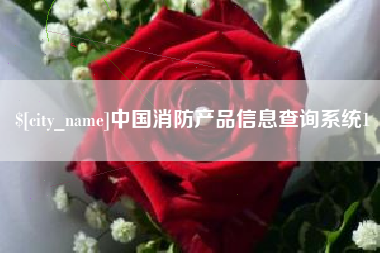 广元中国消防产品信息查询系统1