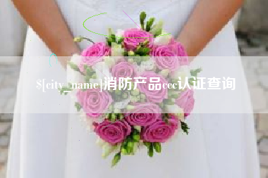 广元消防产品ccc认证查询