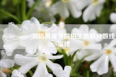 广元消防救援学院招生录取分数线2020福建