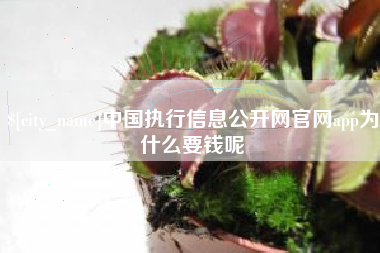 广元中国执行信息公开网官网app为什么要钱呢