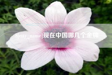 广元现在中国哪几个金牌