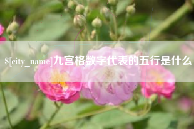 广元九宫格数字代表的五行是什么