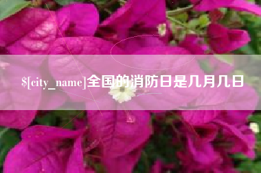 广元全国的消防日是几月几日
