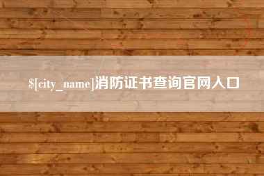广元消防证书查询官网入口