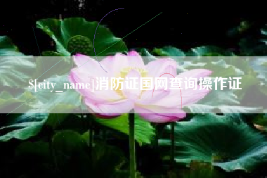 广元消防证国网查询操作证