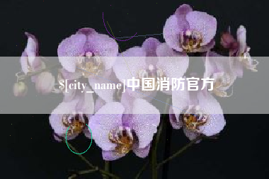 广元中国消防官方