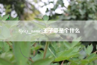广元王子豪是个什么