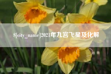 广元2021年九宫飞星及化解