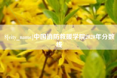 广元中国消防救援学院2020年分数线