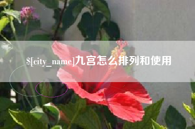 广元九宫怎么排列和使用