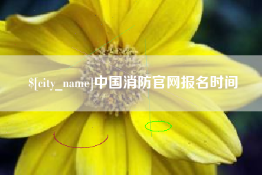广元中国消防官网报名时间