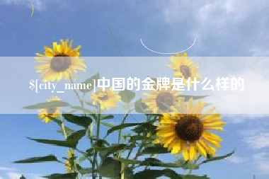 广元中国的金牌是什么样的