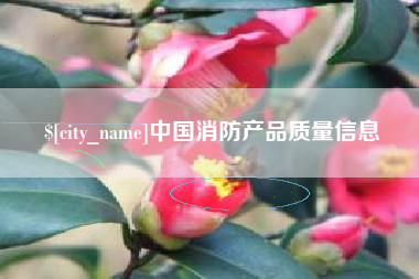 广元中国消防产品质量信息