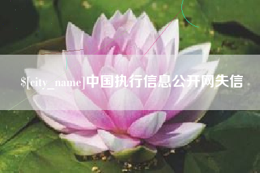 广元中国执行信息公开网失信