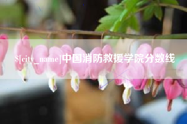 广元中国消防救援学院分数线