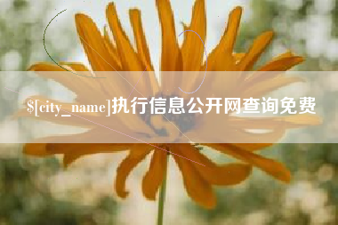 广元执行信息公开网查询免费