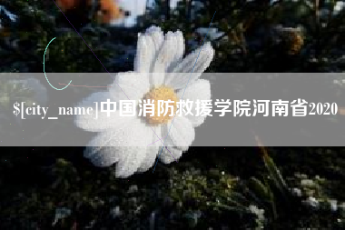 广元中国消防救援学院河南省2020